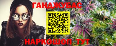 тгк Вышний Волочёк