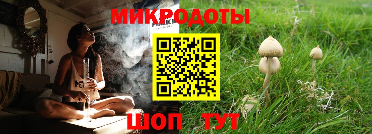 Псилоцибиновые грибы Psilocybine cubensis  Вход с VPN  где продают наркотики  Норильск 